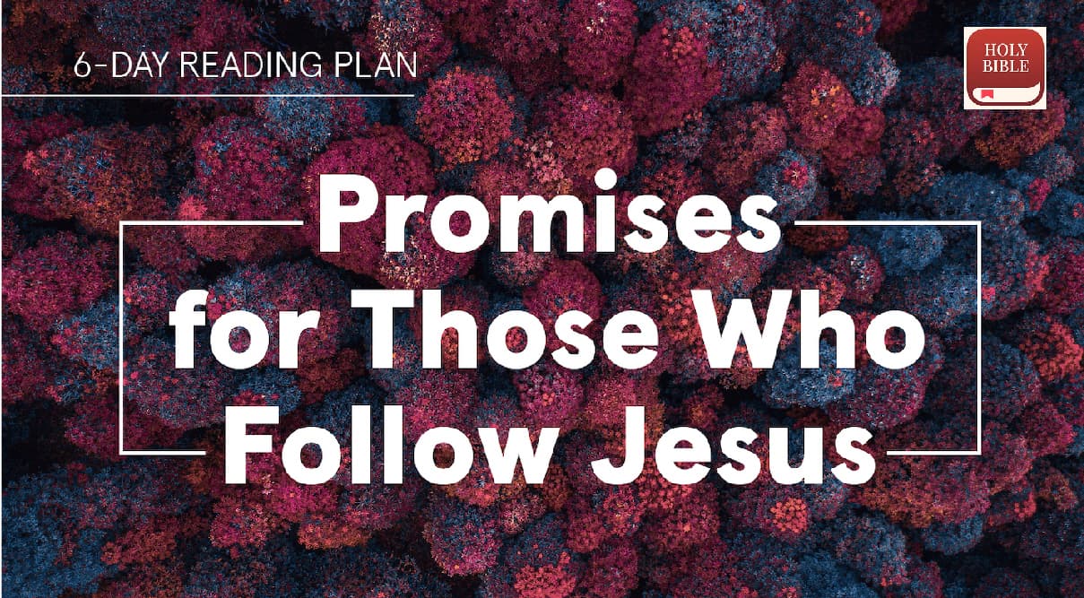 YouVersion Reading Plans